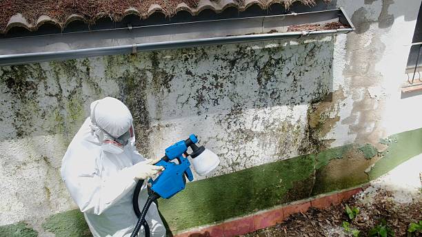 Mold Remediation service in Kenmore, Kenmore, WA